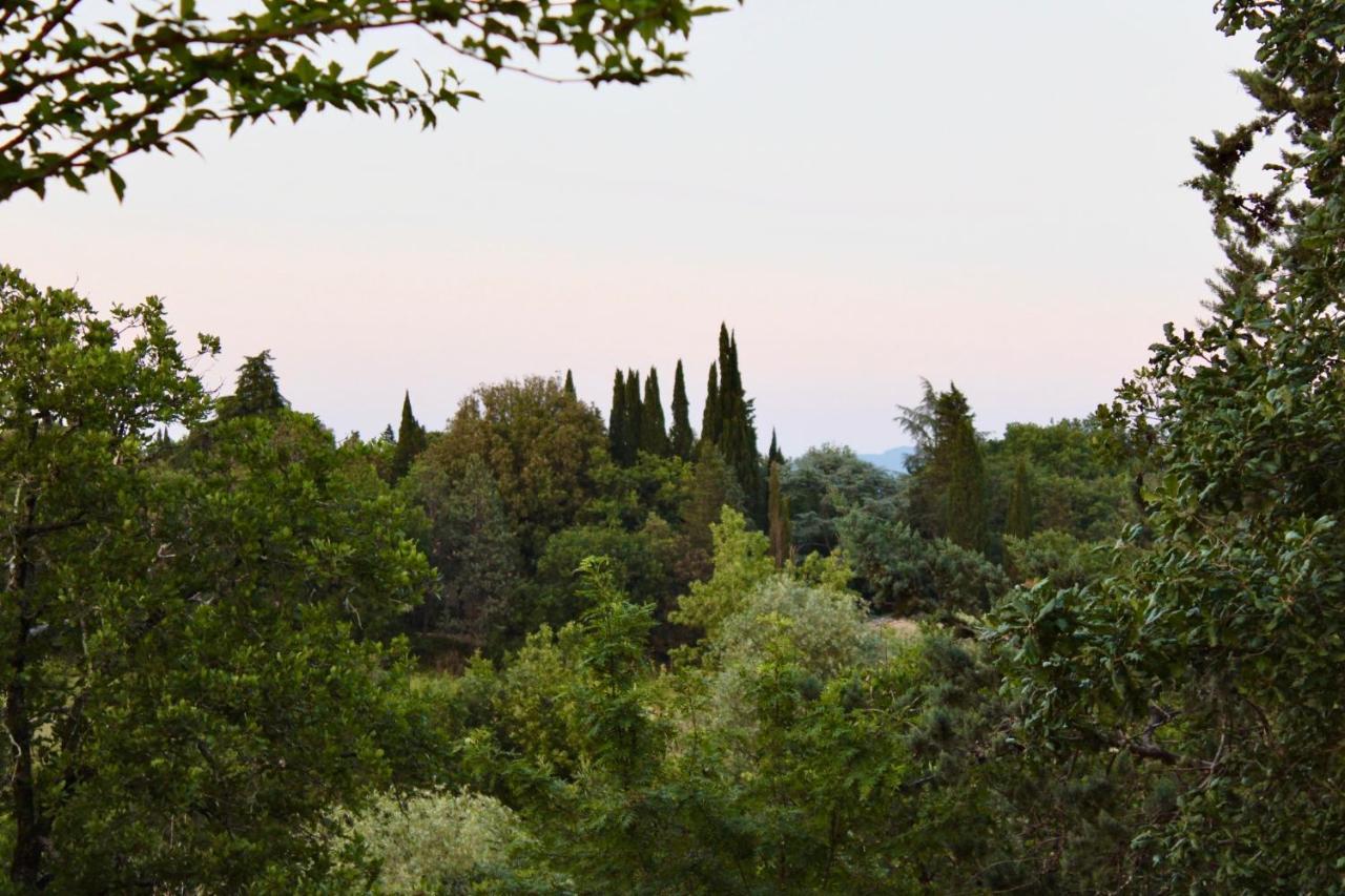 B&B Terre Toscane Ciggiano Esterno foto